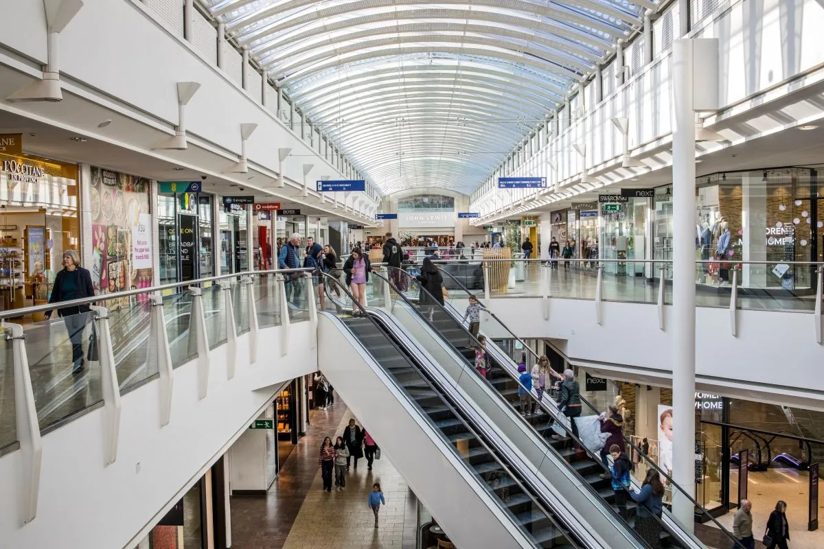 UK Freight Forwarders Demand Budget Action on Border Delays and 2026 CDS Switch